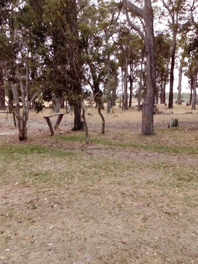 Marri Lodge Margaret River Екстериор снимка
